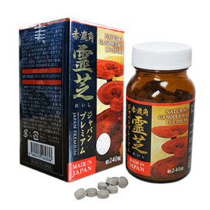 Nấm Linh Chi Sừng Hươu Nhật Bản Deer Horn Reishi
