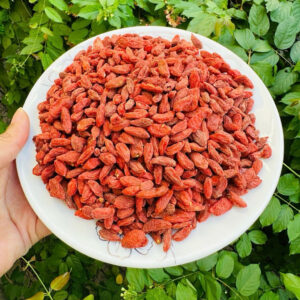 KỶ TỬ – NGỌT TỰ NHIÊN, DỄ DÙNG MỖI NGÀY